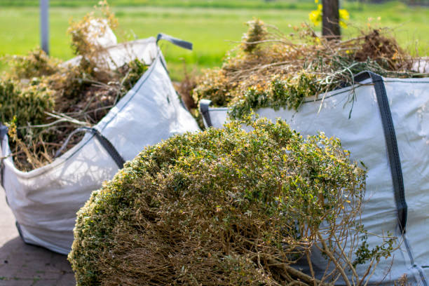 Shed Removal in Higginsville, MO